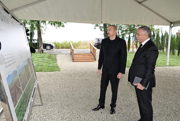 Prezident İlham Əliyev Xocalının Daşbulaq kəndində tut bağında görülmüş işlərlə tanış olub - FOTOLAR