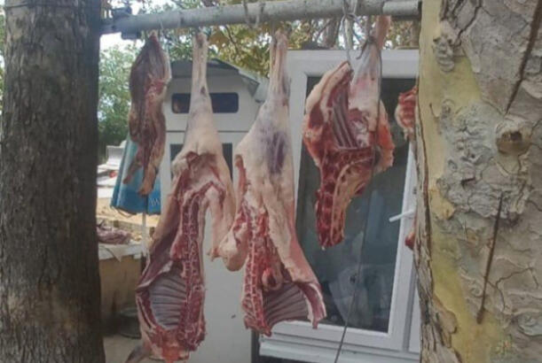 İsmayıllıda ət satışı məntəqəsinin qanunsuz fəaliyyət göstərdiyi aşkarlanıb - FOTO