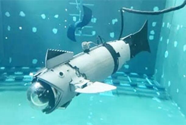 İspaniyada “robot balıq” sınaqdan keçirilib…