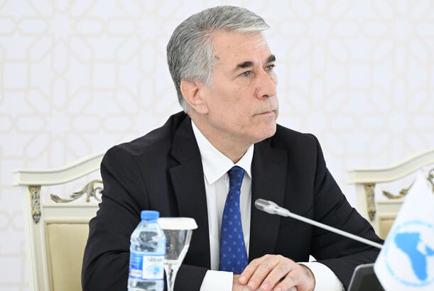 Türk Dövlətləri Təşkilatının qlobal gündəlikdə artan rolu