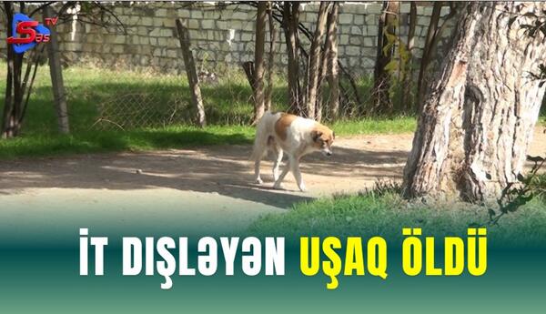 İt dişləyən uşaq öldü