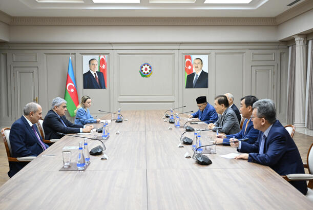 Samir Şərifov ICAPP-ın nümayəndə heyəti ilə görüşüb