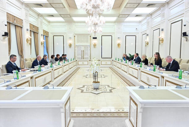 Sahibə Qafarova Estoniyanın xarici işlər naziri ilə görüşüb