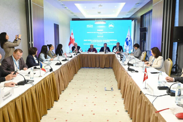 QDİƏT PA-nın Gürcüstanda keçirilən komitə iclasında süni intellektin rolu müzakirə olunub