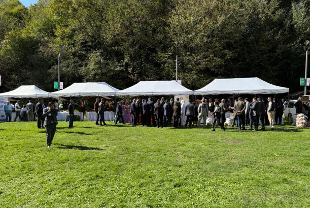 Lerikdə ilk dəfə “Eko Festival” təşkil olunub - FOTOLAR