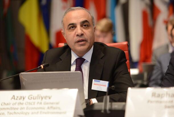 Azay Quliyev Vyanada nələri gündəmə gətirdi? - FOTOLAR