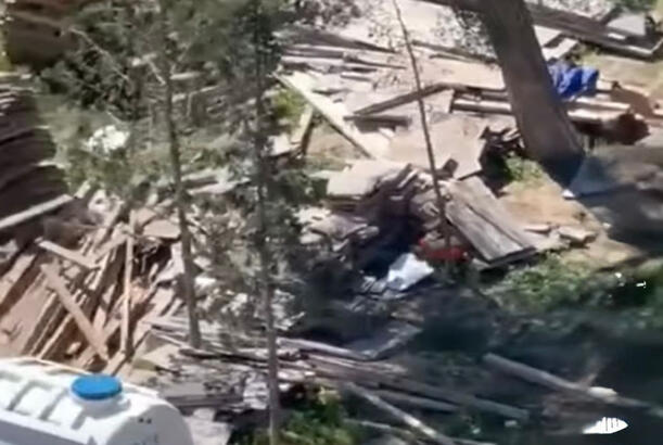 Sumqayıtda ağac kəsilməsi faktı üzə araşdırma aparılır