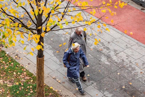 İnsanın boyu illər keçdikcə niyə azalır..?