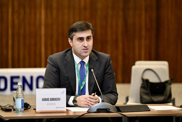 Mərkəzi Afrika ölkələrində baş verən insanlıq faciələri hamıya yaxşı məlumdur - Abbas Abbasov