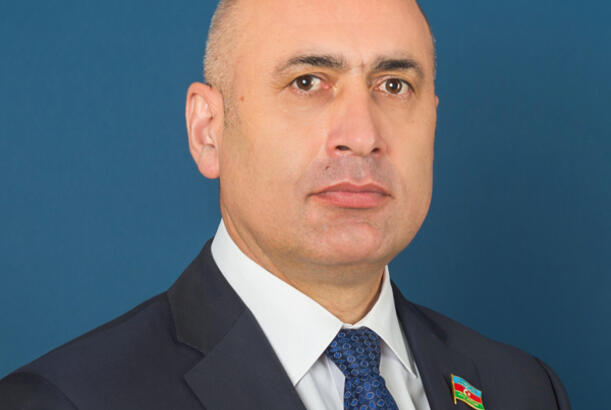 “Vətəndaşın mülkiyyət hüququ tam və təminatlı şəkildə qorunmalıdır” - Azər Badamov