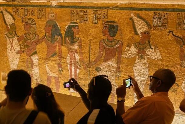 Misirdəki turistlər zəhərli ilan və balıqlar barədə məlumatlandırılırlar...