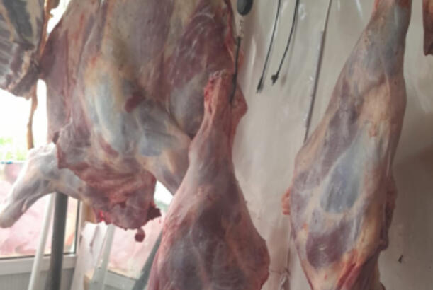 4 min 748 heyvan kəsimi və ət satışı mağazasında monitorinq keçirilib - FOTOLAR
