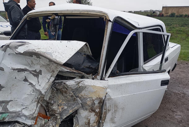 Cəlilabadda atın avtomobilin qarşısına çıxması qəzaya səbəb olub - sürücü xəsarət alıb