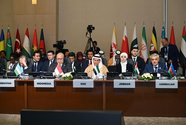 Nazir müavini İƏT-in Daimi Komitəsinin iclasında iştirak edib - FOTO