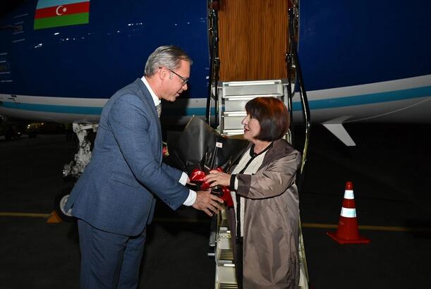 Sahibə Qafarova COP30-da iştirak etmək üçün Braziliyada işgüzar səfərdədir