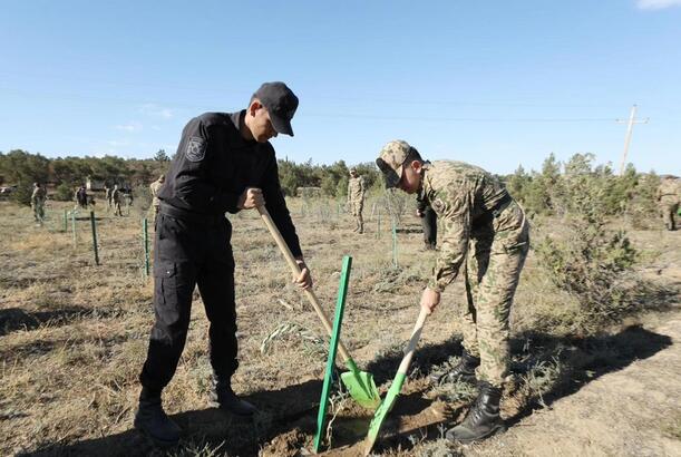 DİN-in əməkdaşları Zəfər Günü ilə əlaqədar ağacəkmə kampaniyası keçiriblər - VİDEO