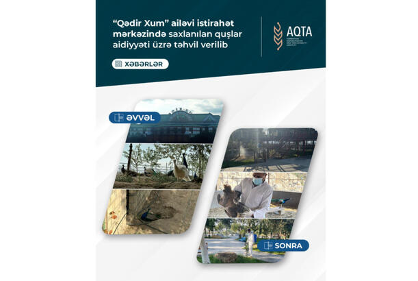 “Qədir Xum” ailəvi istirahət mərkəzində saxlanılan quşlar aidiyyəti üzrə təhvil verilib