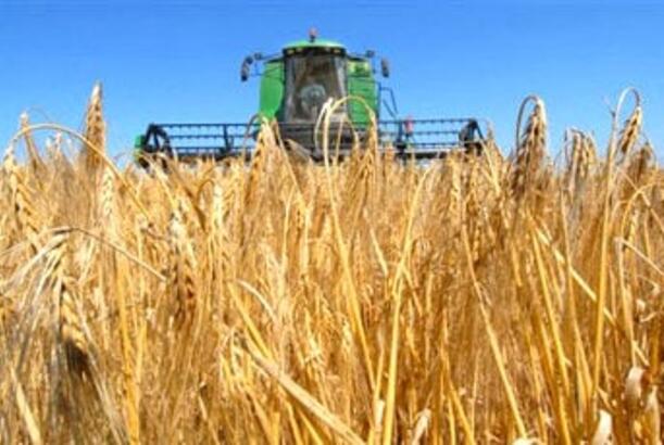 Onlarla ölkə Rusiya buğdasının alışını dayandırıb...