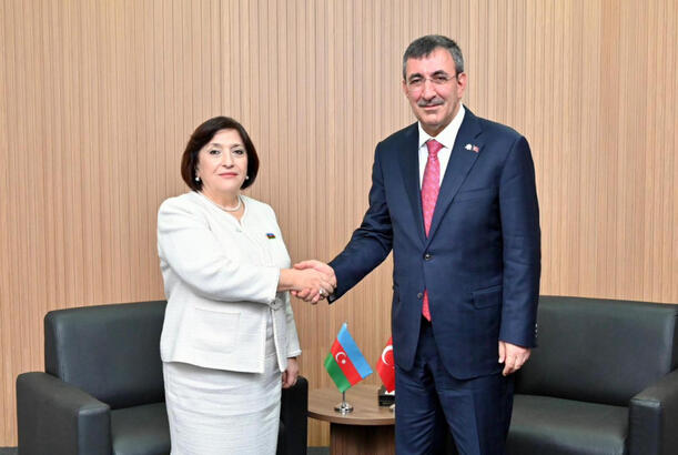 Milli Məclisin sədri Türkiyənin Vitse-prezidenti ilə görüşüb