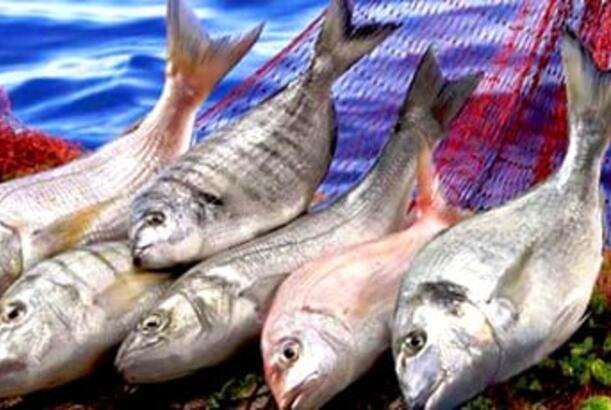 Rusiya böyük balıqlarından məhrum qalmaq riski daşıyır...