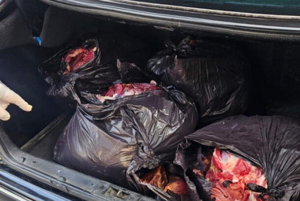 Bərdədə mal əti adı ilə at ətinin satışının qarşısı alınıb - FOTOLAR