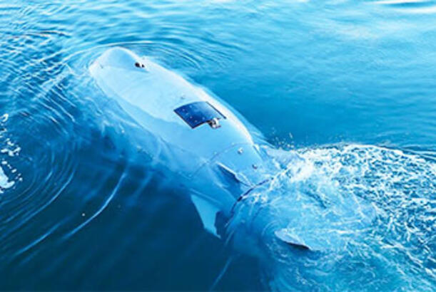 Yeni Alman köpəkbalığı dronları axtarışdadır...