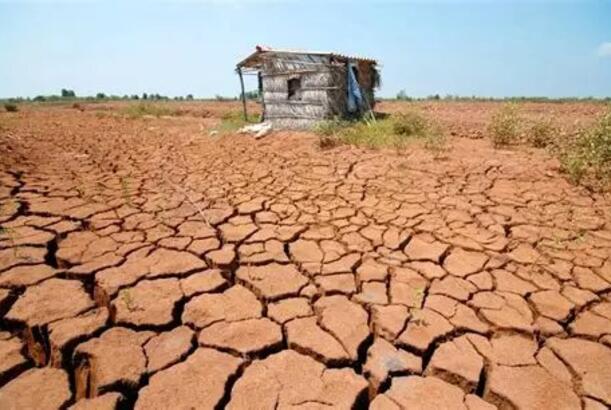 Özbəkistandakı məscidlərdə yağış duası oxunacaq…