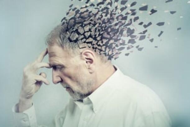 Beyni qoruyan qidalar müəyyən edilib...