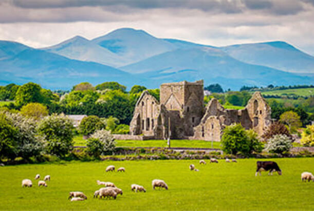 İrlandiya immiqrasiya qaydalarını sərtləşdirib...