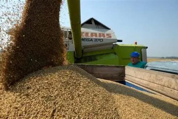 Türkiyə Rusiya buğdasının idxalını bərpa edir...