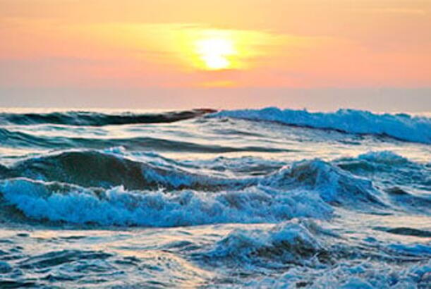 Mərkəzi Sakit okeanda orada olmamalı olan həyat kəşf edilib...