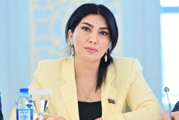 Laçın regionun ən gözəl şəhərlərindən birinə çevriləcəkdir - MƏQALƏ