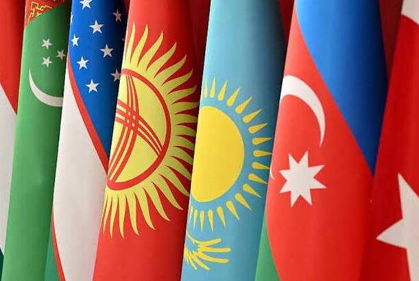 Diaspora dair Birgə Fəaliyyət Planı qəbul olunub