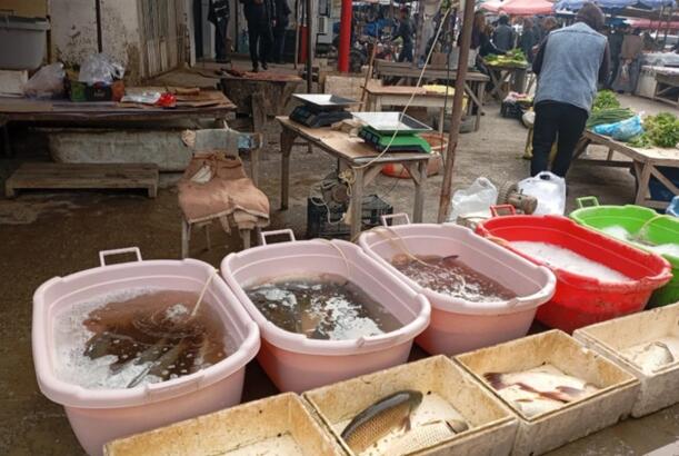 AQTA Gəncə, Ağstafa və Salyanda yerləşən ərzaq bazarlarında monitorinq keçirib