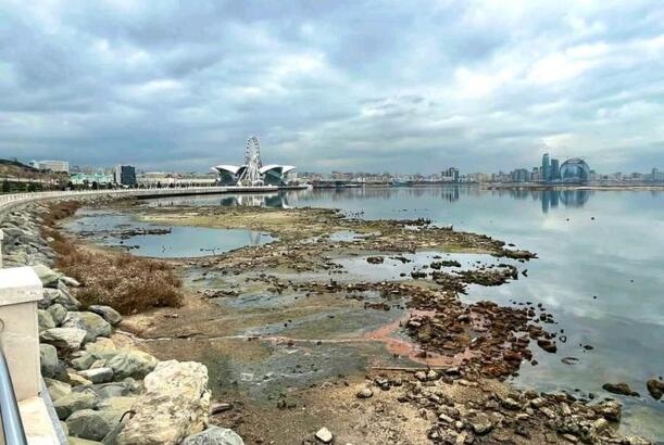 Leysan tipli yağışlardan sonra Xəzərdə suyun səviyyəsi artıb? - EKOLOQ AÇIQLADI