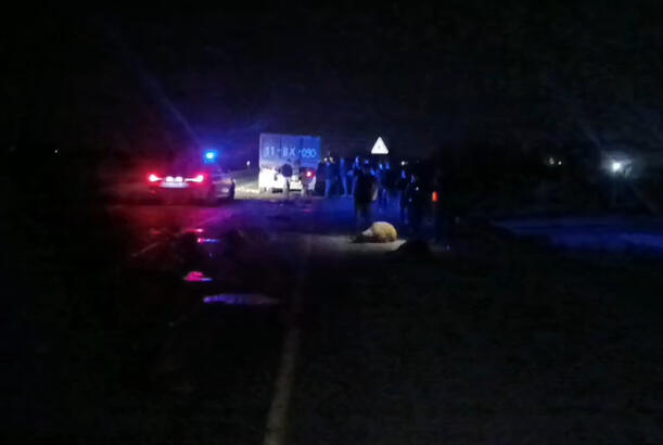 Salyanda yük maşını qoyun sürüsünü vurub...