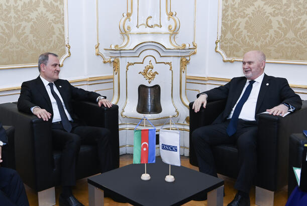 Ceyhun Bayramov Feridun Sinirlioğlu ilə görüşüb.