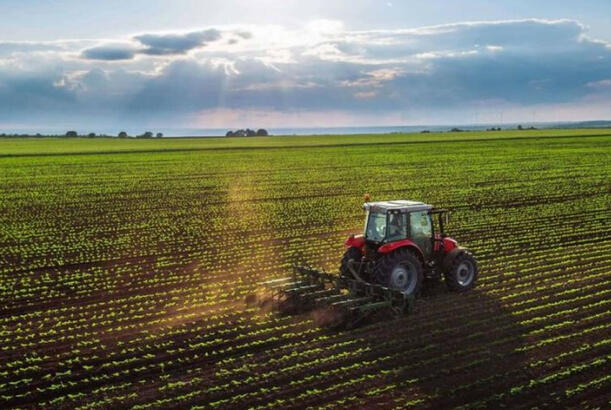 Kənd təsərrüfatı təyinatlı torpaqlarda yalnız bu tikililərin inşasına icazə verilir