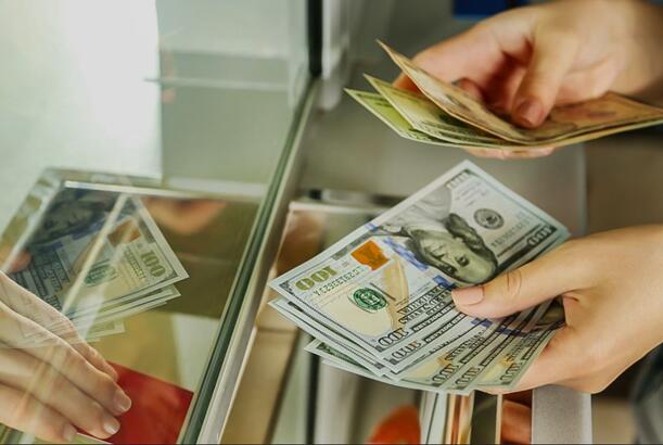 İqtisadi sabitlik üçün sərbəst məzənnə daha vacibdir, yoxsa üzən məzənnə ? - ARAŞDIRMA