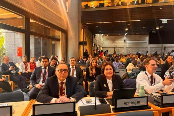 Azərbaycan nümayəndə heyəti BMT-nin Ətraf Mühit Assambleyasının 7-ci sessiyasında iştirak edib