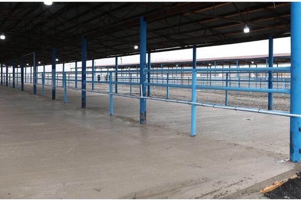 Bərdə heyvan satışı bazarının fəaliyyəti bərpa edilib