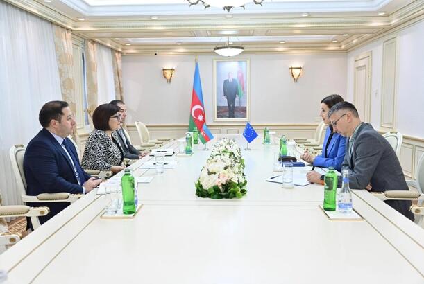 Sahibə Qafarova Aİ nümayəndəsinə Ermənistanla sülh prosesi barədə məlumat verib