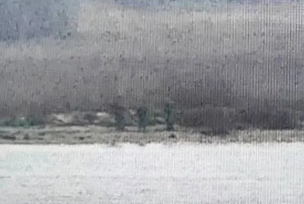 Rusiya qoşunları Estoniya ərazisinə daxil oldu...