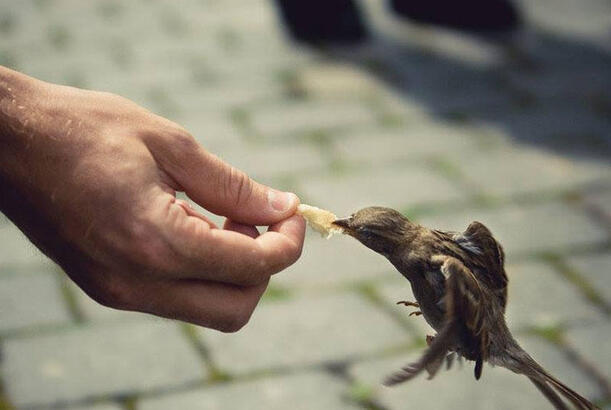 Xeyirxahlığın bumeranq kimi geri döndüyünə dair dəlillər tapıblar...