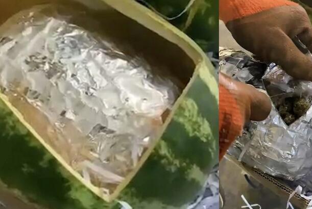 Azərbaycan gömrükçüləri qarpızdan narkotik vasitə aşkarlayıb