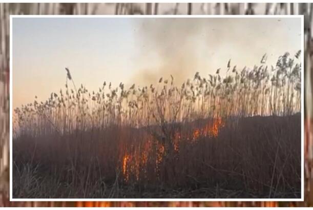 Cəbrayılda yanğın törədən şəxs məsuliyyətə cəlb olunub