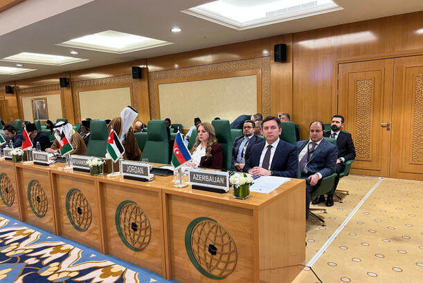 Xarici işlər nazirinin müavini Somali ilə bağlı fövqəladə iclasda iştirak edib