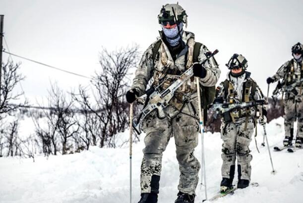 Bu ölkələr Qrenlandiyaya hərbi missiya göndərir