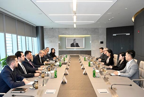 Azərbaycan və Vyetnam elektromobillərin birgə istehsalını nəzərdən keçirir