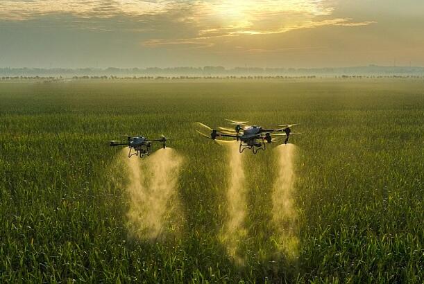 "Texnologiyalaşma kənd təsərrüfatının əsas çıxış yoludur" - İQTİSADÇI DANIŞDI